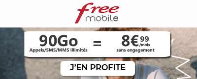 Forfait Free 90Go